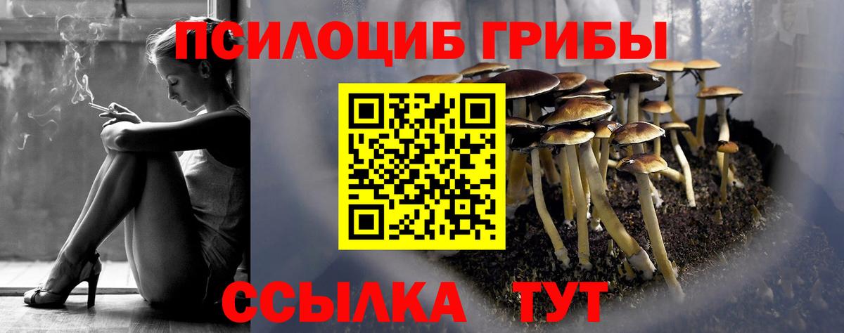 Псилоцибиновые грибы MAGIC MUSHROOMS  Галлюциногенные грибы GOLDEN TEACHER  Городец  Вход с VPN 